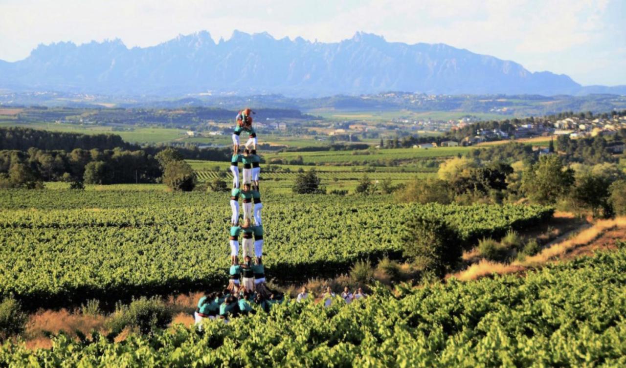 Tina De Vila, En La Capital Del Vino Μπιλαφράνκα δελ Πενεδές Εξωτερικό φωτογραφία